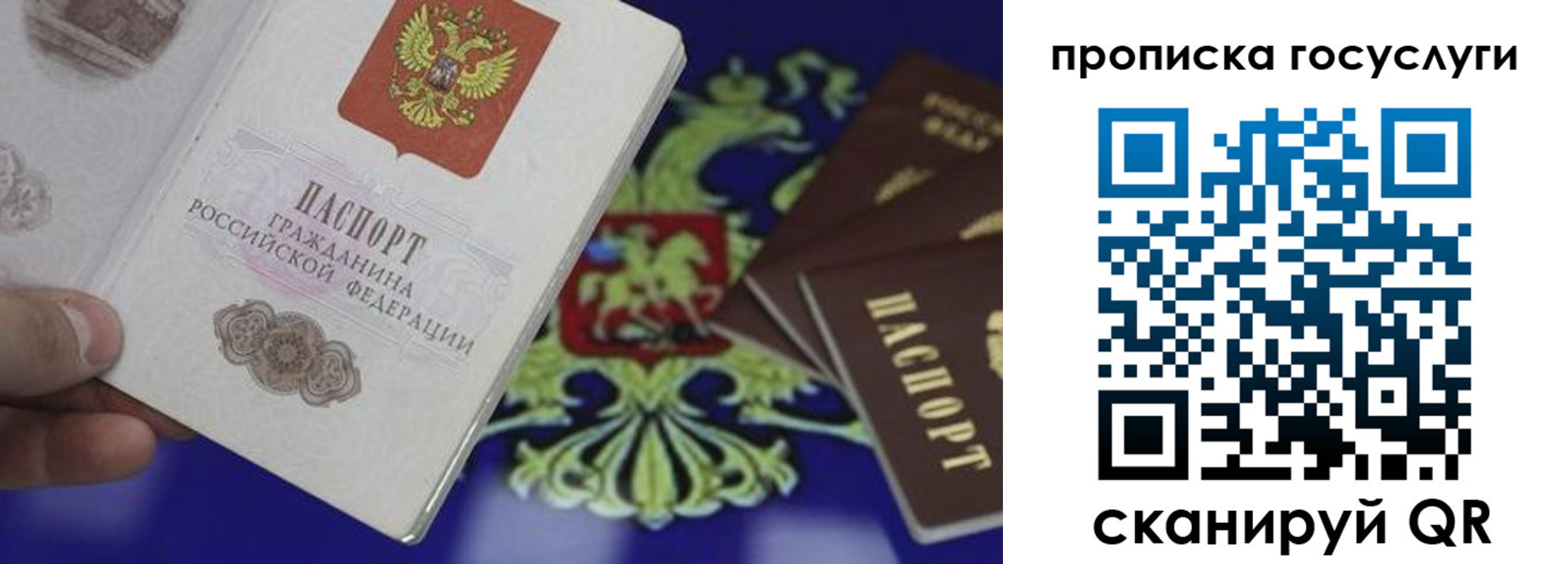 регистрация для школы в Чудово
